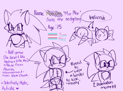 Size: 2048x1524 | Tagged: safe, artist:emenens, knuckles the echidna, shadow the hedgehog, sonic the hedgehog, binder, character name, english text, frown, gay, plaster, reference sheet, simple background, smile, solo focus, standing, trans male, transgender, trio