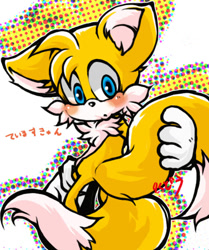 Size: 500x598 | Tagged: safe, artist:riku-dou, miles "tails" prower, 2010, :o, abstract background, blushing, fluffy, holding tail, japanese text, looking back, male, mouth open, signature, solo, standing