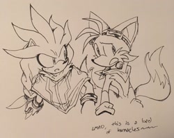 Size: 2048x1628 | Tagged: safe, artist:nannelflannel, miles "tails" prower, silver the hedgehog, fox, hedgehog, duo, english text, goggles, older, poncho, sketch