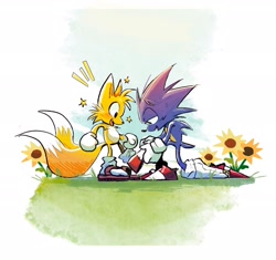 Size: 2048x1927 | Tagged: safe, artist:ratrrriot, miles "tails" prower, sonic the hedgehog, abstract background, blushing, daytime, duo, grass, looking at something, mouth open, outdoors, shoes, smile, star (symbol), sunflower