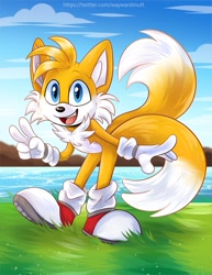 Size: 773x1000 | Tagged: safe, artist:waywardmutt, miles "tails" prower, daytime, grass, looking at viewer, ocean, solo, v sign