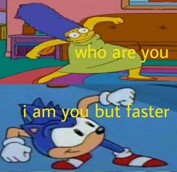 Size: 480x468 | Tagged: safe, sonic the hedgehog, adventures of sonic the hedgehog, duo, edit, english text, great moments in animation, i'm you but stronger, marge simpson, meme, screenshot, the simpsons