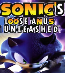 Size: 1324x1490 | Tagged: safe, sonic the hedgehog, sonic unleashed, edit, english text, expand dong, meme, solo, werehog