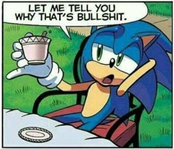 Size: 1440x1233 | Tagged: safe, sonic the hedgehog, hedgehog, dialogue, edit, english text, let me tell you why that's bullshit, male, meme, reaction image, screenshot, solo