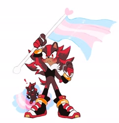 Size: 1984x2048 | Tagged: safe, artist:dirtyteethkoi, shadow the hedgehog, chao, hedgehog, binder, blushing, dark chao, flag, frown, genderless, looking at viewer, male, neck fluff, one fang, pride, pride flag, simple background, solo, standing, trans male, trans pride, transgender, white background