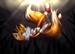 Size: 1200x873 | Tagged: artist needed, source needed, semi-grimdark, miles "tails" prower, fox, abstract background, bleeding, blood, clenched teeth, crying, falling, injured, light, looking up, male, signature, solo