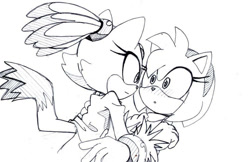 Size: 900x582 | Tagged: safe, artist:smsskullleader, amy rose, blaze the cat, cat, hedgehog, 2011, amy x blaze, amy's halterneck dress, blaze's tailcoat, cute, female, females only, lesbian, looking at each other, shipping, sketch