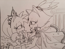 Size: 1024x765 | Tagged: safe, artist:smsskullleader, amy rose, blaze the cat, cat, hedgehog, 2015, amy x blaze, crown, cute, dress, female, females only, lesbian, looking at each other, shipping, sketch, traditional media