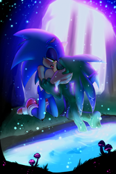 Size: 920x1380 | Tagged: safe, artist:snicsnac, jet the hawk, sonic the hedgehog, bird, hedgehog, 2018, abstract background, blushing, gay, gloves off, glowing, hawk, holding each other, kiss, kneeling, lidded eyes, looking at each other, male, males only, nighttime, outdoors, shipping, shoes off, sloppy kissing, sonjet, tongue out, water, wet