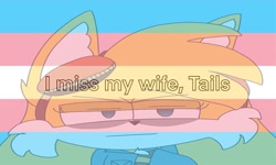 Size: 1024x614 | Tagged: safe, artist:rosecandyart, miles "tails" prower, fox, 2023, english text, female, i miss my wife, lidded eyes, meme, solo, straight face, trans female, trans pride, transgender