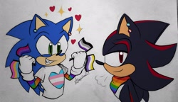 Size: 2048x1181 | Tagged: safe, artist:amelyzoneart, shadow the hedgehog, sonic the hedgehog, 2023, asexual pride, bandana, bisexual pride, bust, duo, ear piercing, excited, flag, gay pride, heart, lesbian, mlm pride, nonbinary pride, pansexual pride, pride, pride flag, simple background, smile, sparkles, standing, traditional media, trans pride