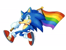 Size: 2048x1576 | Tagged: safe, artist:ls1389, sonic the hedgehog, 2023, flag, holding something, looking at viewer, male, pride, pride flag, progress pride, running, simple background, smile, solo, white background