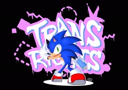 Size: 2048x1443 | Tagged: safe, artist:lumatastic, sonic the hedgehog, hedgehog, 2023, black background, graffiti, holding something, looking back at viewer, male, outline, signature, simple background, smile, solo, spray can, spray paint, top surgery scars, trans male, trans pride, trans rights, transgender