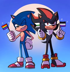 Size: 1604x1660 | Tagged: safe, artist:punkytoonz, shadow the hedgehog, sonic the hedgehog, hedgehog, 2023, abstract background, ace, asexual pride, blushing, demiromantic, demiromantic pride, duo, flag, frown, gay, gay pride, holding something, lidded eyes, male, males only, pride, pride flag, shadow x sonic, shipping, smile, standing, star (symbol), wink