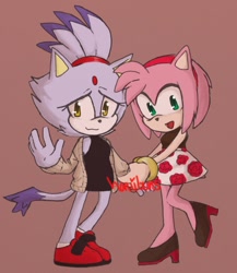 Size: 700x808 | Tagged: safe, artist:_shoobs_, amy rose, blaze the cat, cat, hedgehog, 2019, amy x blaze, cute, female, females only, holding hands, lesbian, looking at viewer, shipping