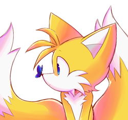 Size: 612x576 | Tagged: safe, artist:nannelflannel, miles "tails" prower, fox, 2019, ambiguous gender, butterfly, frown, literal animal, looking at something, male, simple background, solo, white background