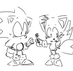 Size: 793x769 | Tagged: safe, artist:sontaiis, miles "tails" prower, sonic the hedgehog, fox, hedgehog, blushing, chibi, cute, duo, flower, gay, holding something, male, males only, shipping, simple background, sonabetes, sonic x tails, standing, sweatdrop, tailabetes, white background