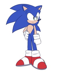 Size: 1163x1383 | Tagged: safe, artist:nessfreenote, sonic the hedgehog, hedgehog, 2023, flat colors, frown, hand on hip, looking offscreen, male, simple background, solo, standing, white background