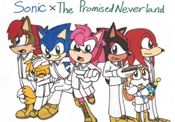 Size: 818x571 | Tagged: safe, artist:piplup88908, amy rose, cheese (chao), knuckles the echidna, miles "tails" prower, sally acorn, shadow the hedgehog, sonic the hedgehog, chao, chipmunk, echidna, fox, hedgehog, 2020, crossover, female, genderless, group, male, neutral chao, simple background, standing, the promised neverland, white background