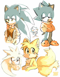 Size: 600x771 | Tagged: safe, artist:iku-t0, miles "tails" prower, silver the hedgehog, sonic the hedgehog, fox, hedgehog, classic sonic, signature, white background