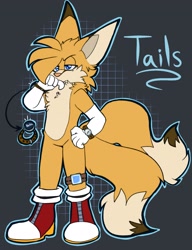 Size: 1573x2048 | Tagged: safe, artist:cha0w0w, miles "tails" prower, fox, abstract background, alternate universe, boots, character name, chest fluff, english text, fluffy, frown, hand on hip, lidded eyes, looking offscreen, male, outline, pink nose, redesign, solo, standing, watch
