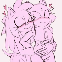 Size: 540x540 | Tagged: safe, artist:pberry-daki, amy rose, blaze the cat, cat, hedgehog, 2022, amy x blaze, blushing, cute, eyes closed, female, females only, hearts, hugging from behind, lesbian, shipping