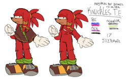 Size: 789x494 | Tagged: safe, artist:braingutzz, knuckles the echidna, ace, agender, bisexual, character name, english text, frown, headcanon, illiterate, lidded eyes, looking at viewer, poncho, pronouns, simple background, solo, standing, white background