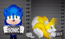 Size: 2048x1255 | Tagged: safe, artist:katsuarte, miles "tails" prower, sonic the hedgehog, fox, hedgehog, barbie mugshot meme, duo, english text, frown, holding something, looking at viewer, meme, movie style, mugshot, redraw, smile