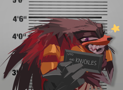 Size: 2048x1494 | Tagged: safe, artist:tsaikonautz, knuckles the echidna, echidna, abstract background, barbie mugshot meme, holding something, lidded eyes, looking at viewer, male, meme, mouth open, mugshot, smile, solo, star (symbol)