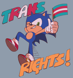 Size: 2048x2198 | Tagged: safe, artist:taruma, sonic the hedgehog, hedgehog, english text, flag, grey background, holding something, looking down at viewer, male, mid-air, pride flag, signature, simple background, smile, solo, trans male, trans pride, transgender, wink