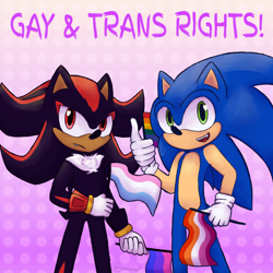 Size: 2048x2048 | Tagged: safe, artist:monoex, shadow the hedgehog, sonic the hedgehog, abstract background, bisexual pride, duo, flag, frown, gay pride, holding something, lesbian pride, looking at viewer, looking offscreen, pride, pride flag, smile, trans pride