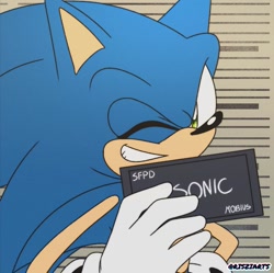 Size: 825x823 | Tagged: safe, artist:artsriszi, sonic the hedgehog, barbie mugshot meme, meme