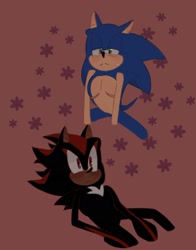 Size: 1271x1619 | Tagged: safe, artist:_kaiimill, shadow the hedgehog, sonic the hedgehog, ace, bisexual, blushing, duo, flower, frown, gay, lidded eyes, nonbinary, red background, simple background, sitting, sweatdrop, top surgery scars, trans male, transgender