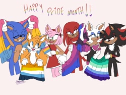 Size: 2048x1536 | Tagged: safe, artist:stargazrrrr, amy rose, knuckles the echidna, miles "tails" prower, rouge the bat, shadow the hedgehog, sonic the hedgehog, ace, aro ace pride, aromantic, bisexual, bisexual pride, english text, eyelashes, female, flag, gay, grey background, group, holding something, male, mlm pride, pansexual, pansexual pride, pride, pride flag, signature, simple background, smile, standing, team sonic, top surgery scars, trans male, transgender