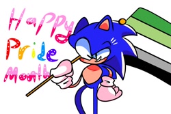 Size: 800x533 | Tagged: safe, artist:sonic3_da, sonic the hedgehog, aromantic, aromantic pride, blushing, english text, flag, holding something, looking at viewer, male, pride flag, simple background, smile, solo, standing, white background