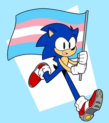 Size: 1820x2048 | Tagged: safe, artist:pedrott_viana, sonic the hedgehog, abstract background, flag, flat colors, headcanon, holding something, looking ahead, male, mouth open, pride flag, running, smile, solo, top surgery scars, trans male, trans pride, transgender