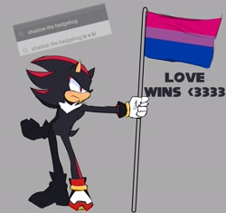 Size: 2048x1926 | Tagged: safe, artist:pondfoam, shadow the hedgehog, hedgehog, <3, bisexual, bisexual pride, english text, flag, frown, grey background, holding something, looking ahead, male, meme, pride, reference inset, shadow is a bi, simple background, solo, standing