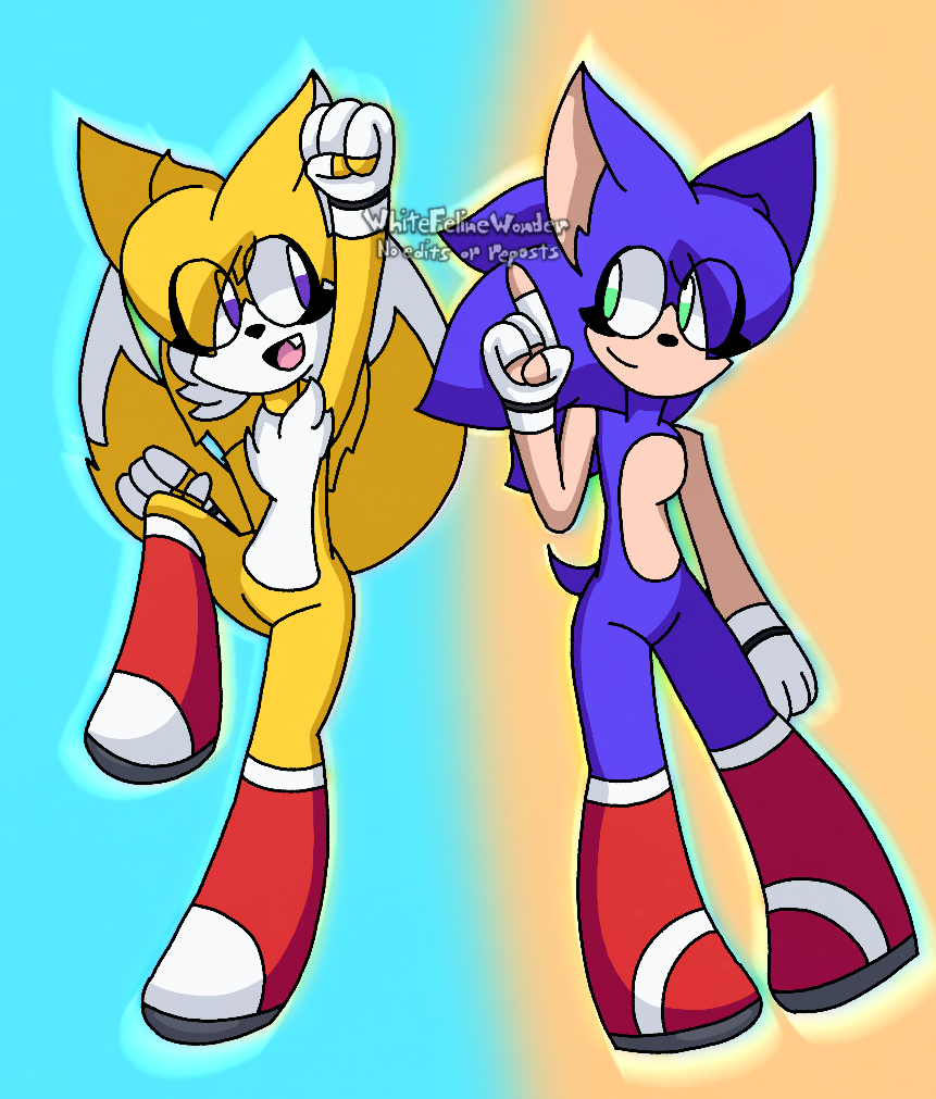 WhiteFelineWonder: There's some Avalice in my Sonic!