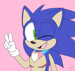 Size: 2376x2232 | Tagged: safe, artist:interstellarchaosss, sonic the hedgehog, hedgehog, 2023, bandana, cute, fangs, flat colors, male, mouth open, pink background, pride, simple background, smile, solo, sonabetes, trans male, trans pride, transgender, v sign, wink