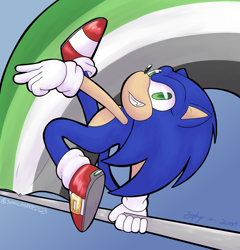 Size: 2849x2967 | Tagged: safe, artist:sonicaspeed123, sonic the hedgehog, hedgehog, 2023, aromantic, aromantic pride, eyelashes, gradient background, holding something, looking at viewer, male, pride, pride flag, smile, solo