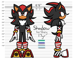 Size: 2048x1638 | Tagged: safe, artist:feeble-minded-little-gay, shadow the hedgehog, hedgehog, abstract background, demiboy, english text, frown, gay, height chart, pronouns, reference sheet, solo, sonic boom (tv)