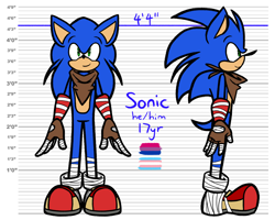Size: 2048x1638 | Tagged: safe, artist:feeble-minded-little-gay, sonic the hedgehog, hedgehog, abstract background, bisexual, height chart, male, pronouns, reference sheet, smile, sonic boom (tv), standing, trans male, transgender