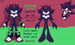 Size: 2048x1229 | Tagged: safe, artist:12neonlit-stage, shadow the hedgehog, hedgehog, abstract background, alternate universe, au:crystallized, character name, english text, jacket, looking at viewer, male, pronouns, scar, solo, standing