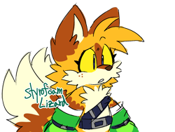 Size: 1440x1080 | Tagged: safe, artist:klonoadoortophantomile, miles "tails" prower, fox, belt, ear fluff, eyelashes, freckles, looking offscreen, male, mouth open, redesign, simple background, sketch, solo, standing, transparent background, yellow sclera