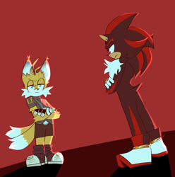 Size: 2048x2061 | Tagged: safe, artist:mintykatt, miles "tails" prower, nine, shadow the hedgehog, fox, hedgehog, sonic prime, abstract background, arm fluff, arms folded, duo, frown, looking at each other, male, males only, standing
