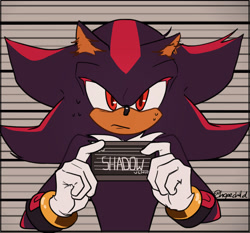Size: 2048x1907 | Tagged: safe, artist:hopechild, shadow the hedgehog, hedgehog, abstract background, barbie mugshot meme, character name, frown, holding something, looking at viewer, male, meme, mugshot, solo, sweatdrop