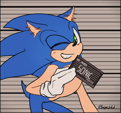 Size: 2048x1901 | Tagged: safe, artist:hopechild, sonic the hedgehog, hedgehog, abstract background, barbie mugshot meme, character name, ear fluff, holding something, looking at viewer, male, meme, mugshot, smile, solo, wink