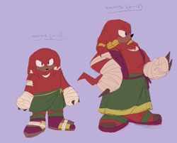 Size: 2048x1647 | Tagged: safe, artist:sonicattos, knuckles the echidna, echidna, character name, classic knuckles, clothes, duality, english text, frown, looking offscreen, male, modern knuckles, purple background, redesign, simple background, solo, standing