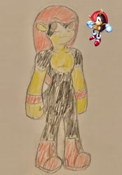 Size: 1429x2048 | Tagged: safe, artist:lazyspeedster93, mighty the armadillo, armadillo, looking offscreen, male, reference inset, smile, solo, standing, traditional media