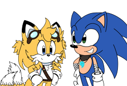 Size: 7517x5100 | Tagged: safe, artist:rewriteelectric2008, miles "tails" prower, sonic the hedgehog, fox, hedgehog, 2023, alternate universe, belt, duo, female, flat colors, goggles, lesbian, male, necklace, scarf, simple background, smile, standing, trans female, transgender, transparent background